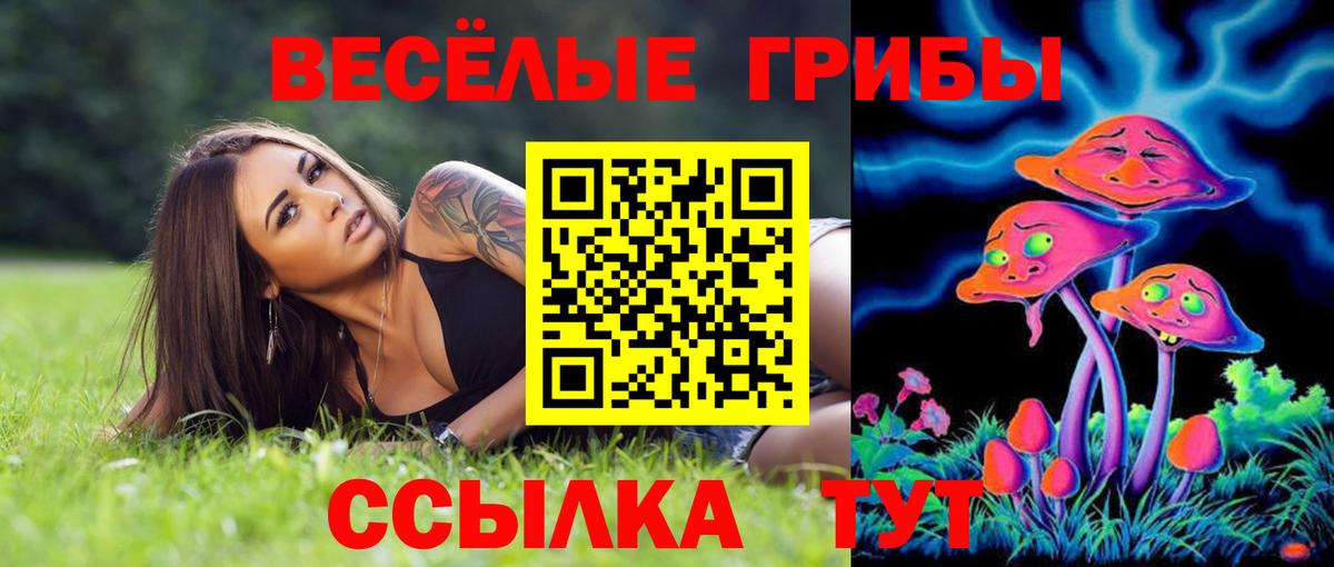 Янаул  Псилоцибиновые грибы ЛСД  закладка  Галлюциногенные грибы Cubensis  Вход с VPN 